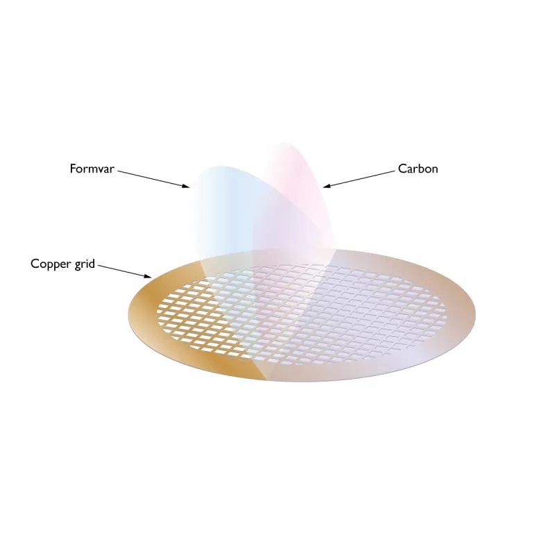 Màng Formvar phủ Cacbon trên lưới Đồng (Formvar Carbon Films on Copper) 300 Mesh (50 lưới/hộp)